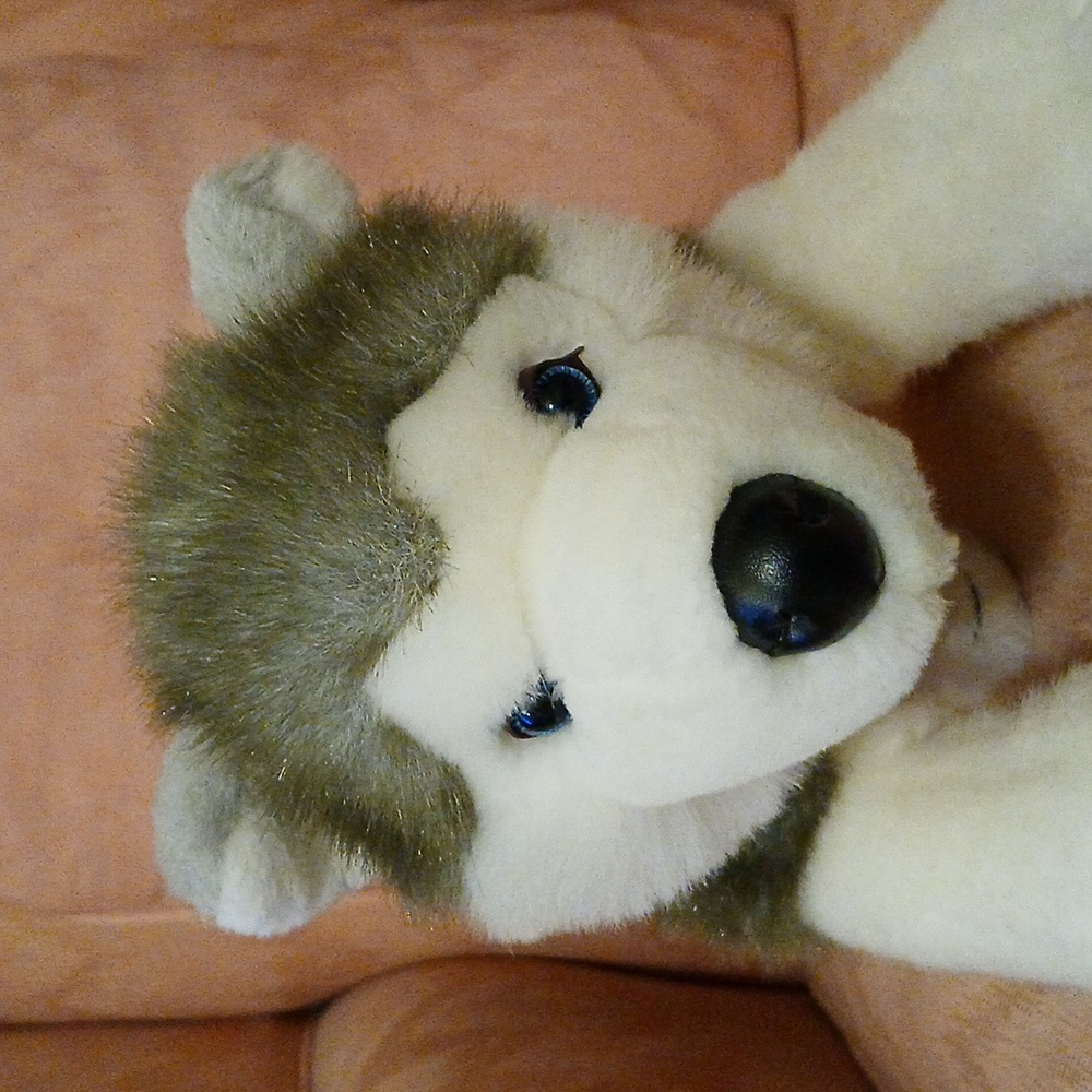 Build-A-Bear Husky - Picture 6 of 8